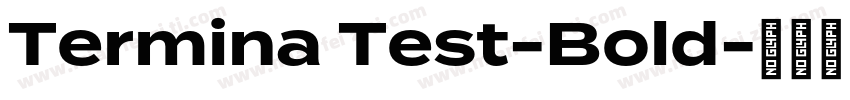 Termina Test-Bold字体转换